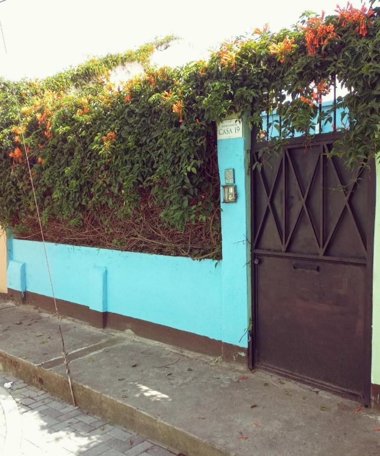 4 Grados Hostel Guatemala City Eksteriør bilde