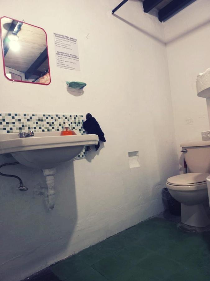 4 Grados Hostel Guatemala City Eksteriør bilde